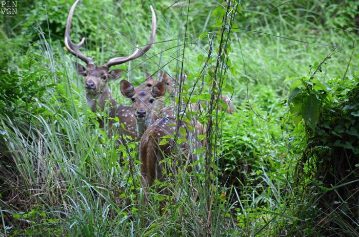 10005926_10205149972729189_4141895102710723517_o