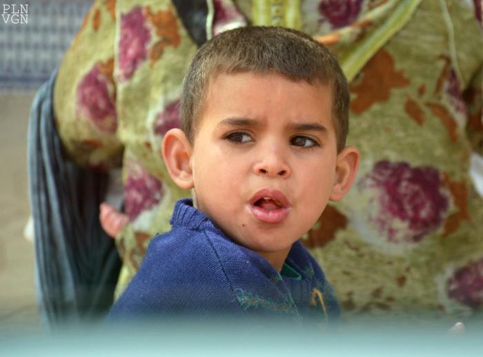 10271395_537190809736212_7164133977399364257_o