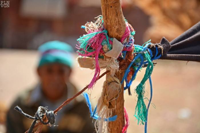 10355529_10204145402615564_7020138810458503690_o