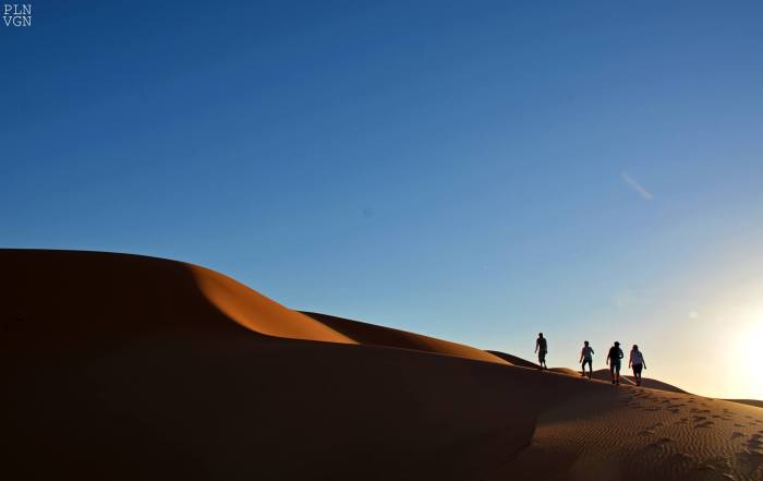 10371330_525082107613749_921128172096209104_o