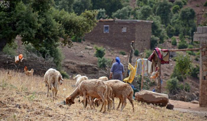 10428199_10204145411815794_5162020343868696650_o