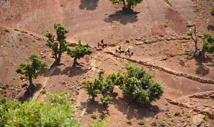 10453075_10204145419215979_1143759300621717521_o