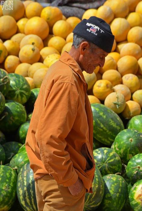 10462701_523979541057339_9080840032242046988_n