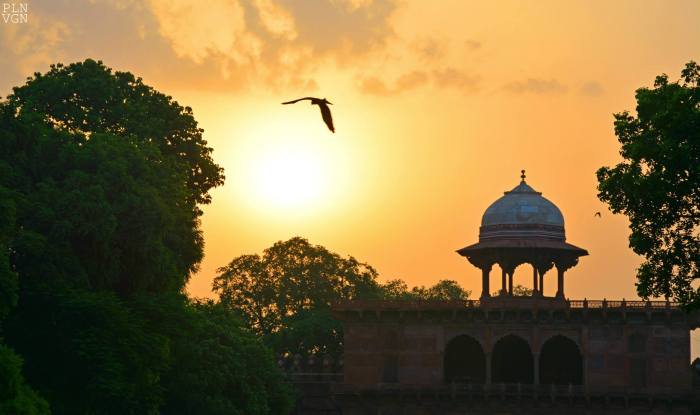 10475446_10204892235685924_6779545226969464197_o