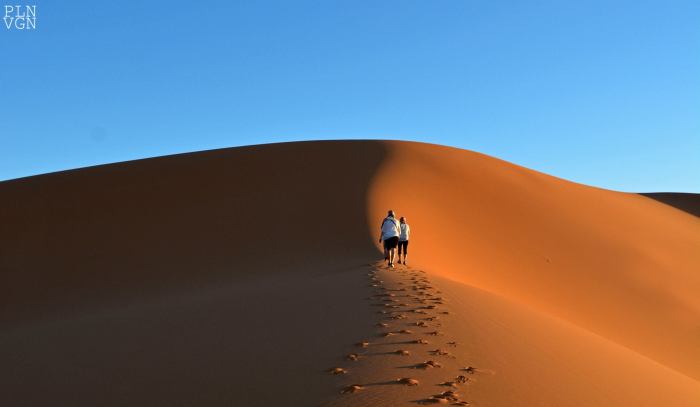 10492944_10204183029756219_7632760345931085505_o