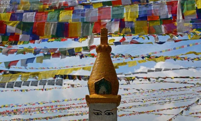 10496181_10205010165354092_1680879071531137155_o