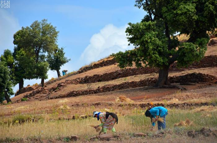 10496196_10204145413015824_1611423992059669952_o