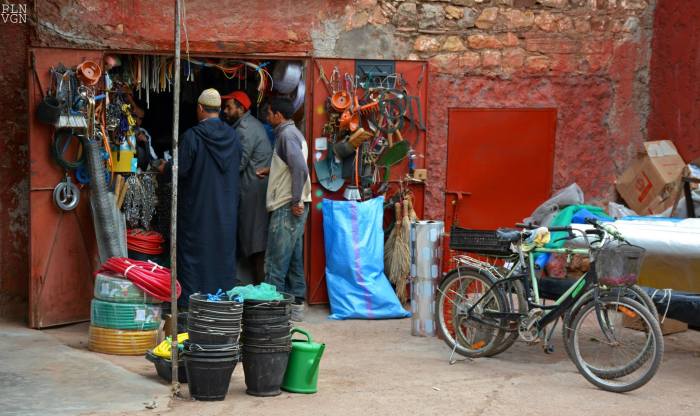 10498504_10204145398815469_877558067687290340_o