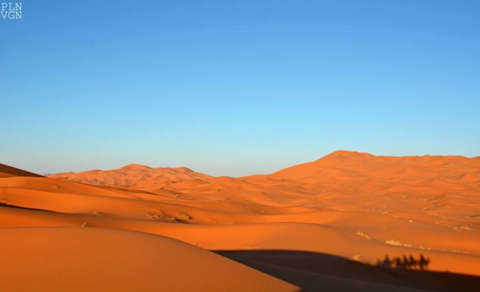 10498517_10204183028636191_1557851167600140057_o