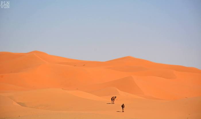 10530648_10204174701788025_4338599861762253072_o