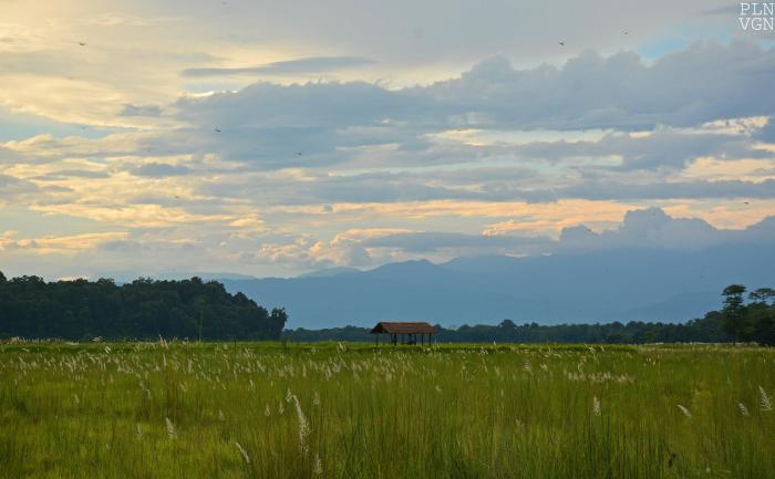 10534843_10205149971449157_8604364345102286044_o