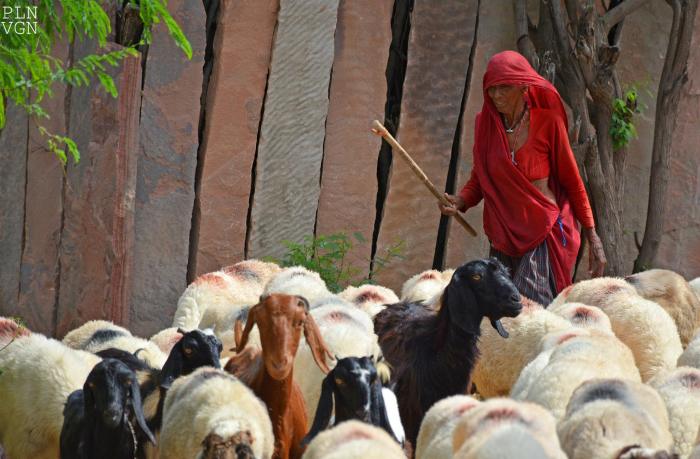 10562666_10204813494997456_2032988535119301094_o