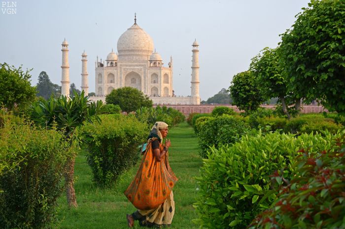 10633519_586559298132696_2851863041330362865_o