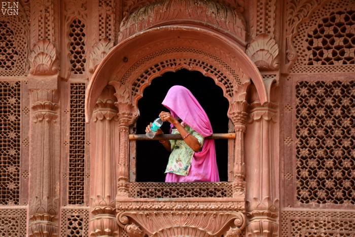 10688092_10204813577399516_8852877153777785755_o