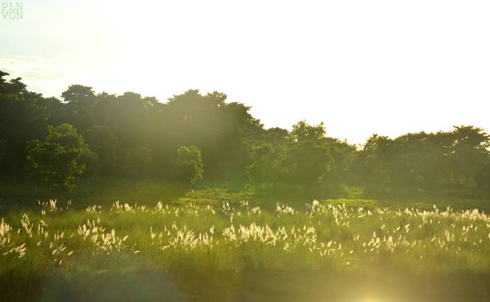 10700741_10205149917527809_7710795455257026475_o