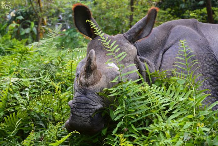 10714388_10205149991449657_3313763495174864191_o