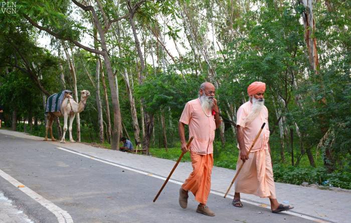 1097015_10204892219005507_2099758198768803747_o