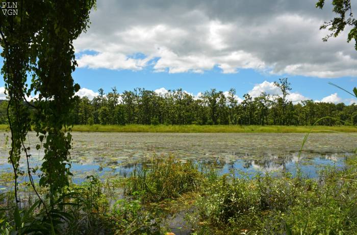 1271483_10205149959848867_2834226452430314104_o