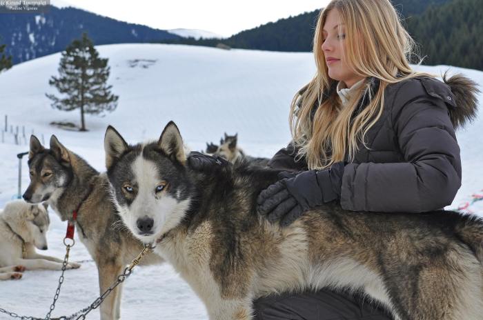 1399801_429480730507221_1243669650_o