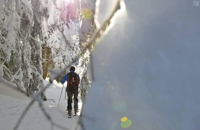 1404965_437611029694191_1431212572_o