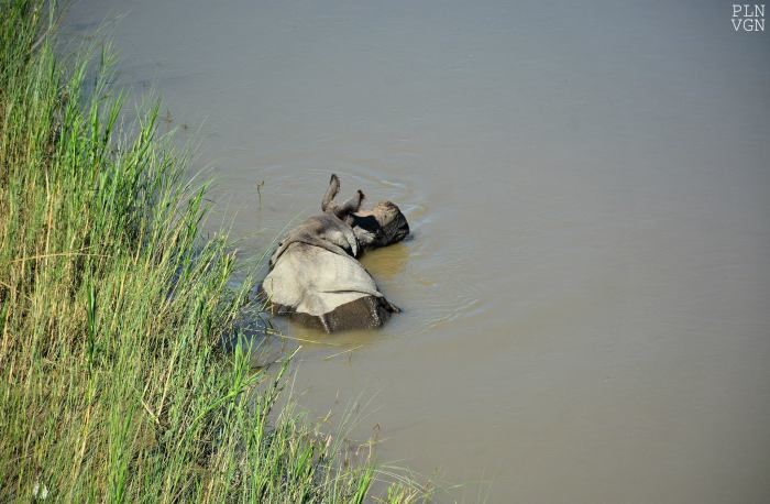 1502866_10205149929088098_1586137058567105646_o