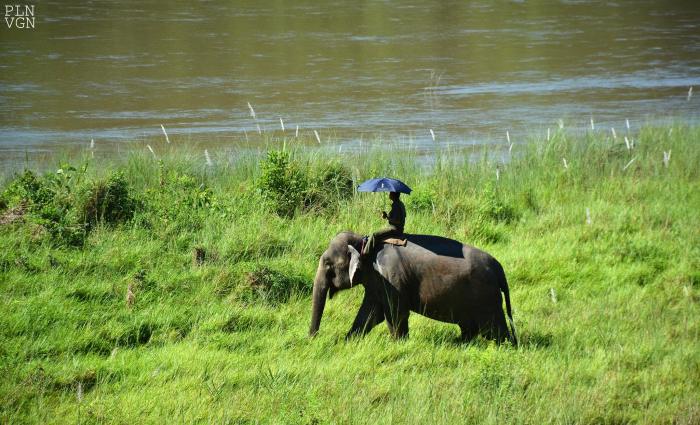 1618290_10205149928768090_6743561508006542487_o