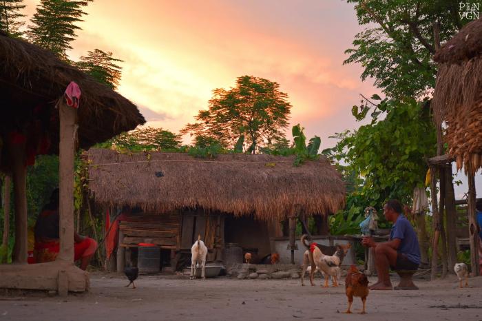 1960972_10205149987169550_6531717502837106765_o