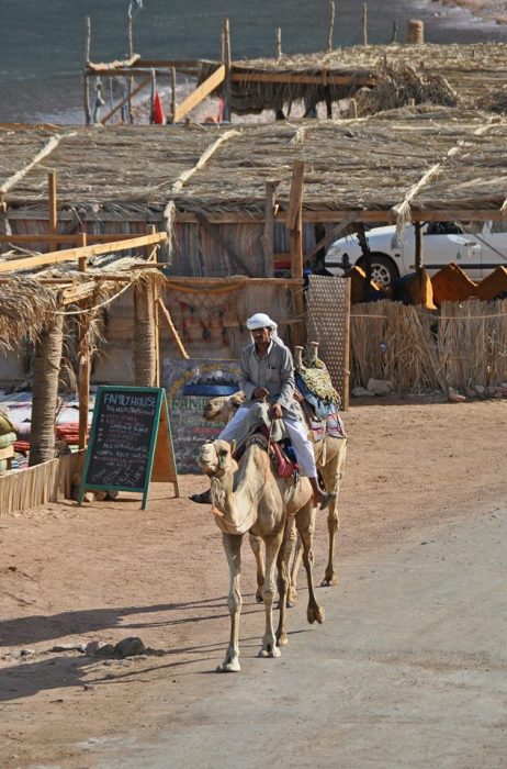 384976_10201184188507062_1317459297_n