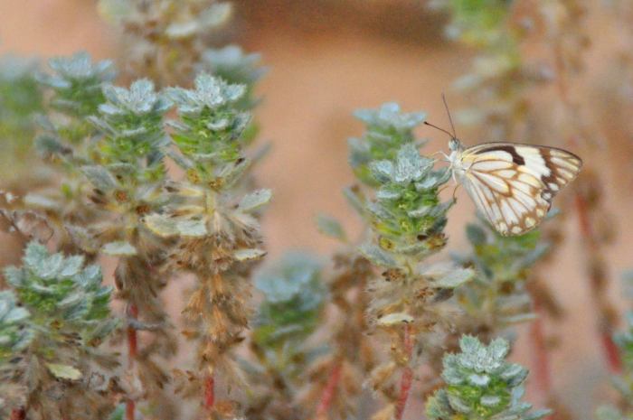 460043_10201184180626865_1169660849_o