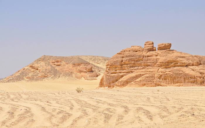 460250_10201184230868121_534946414_o