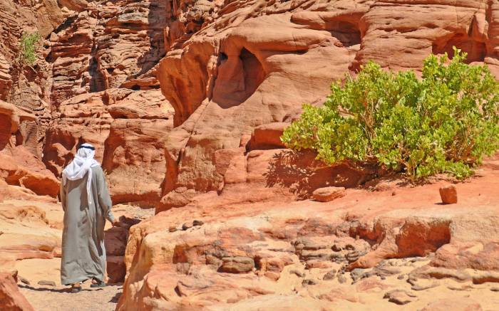 461033_10201184249988599_1912325477_o