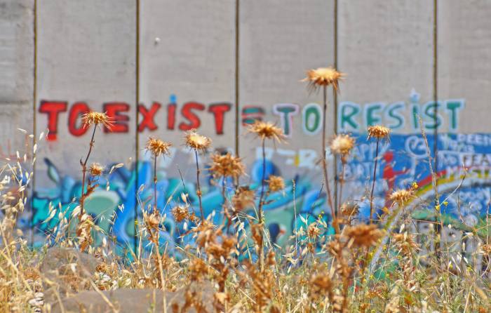 468630_10201225839708316_290732998_o