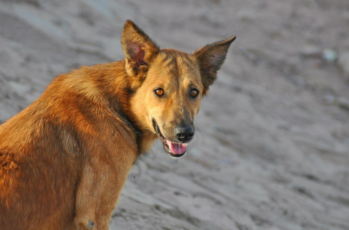 469184_10201184190547113_1402715392_o