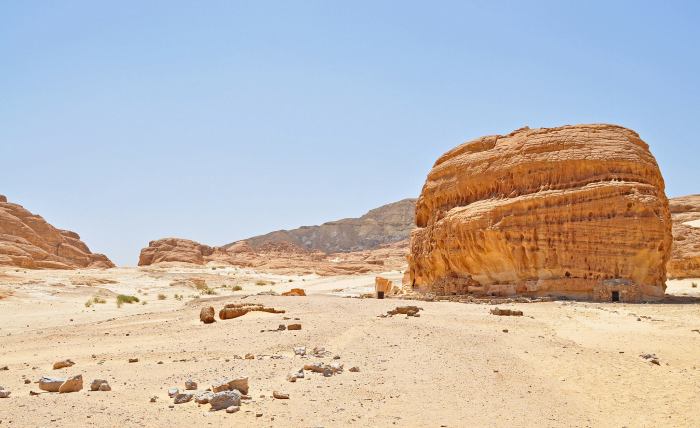 477703_10201184228868071_613503438_o