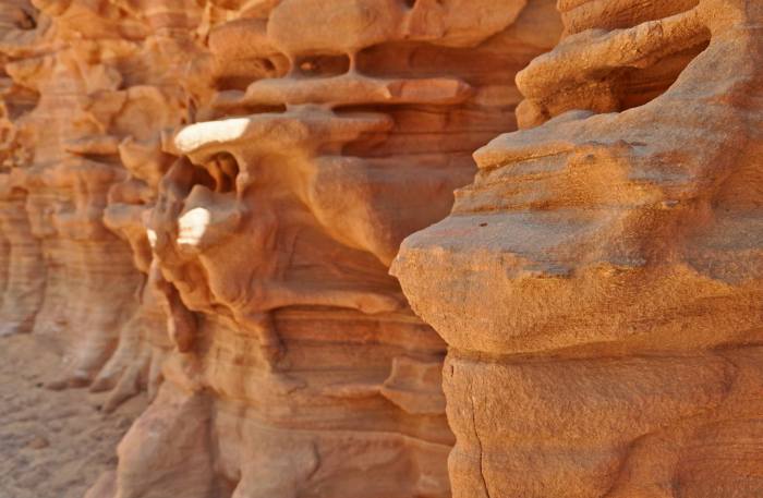 477924_10201184246948523_1928437891_o