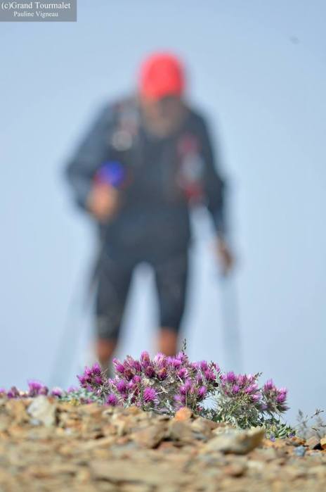 577269_556103054426658_24509520_n