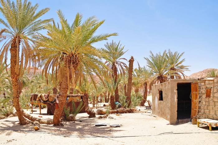 679842_10201184250988624_1805219118_o