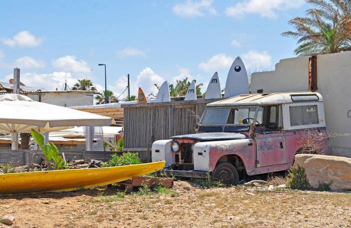 736878_10201207957341268_1177170348_o