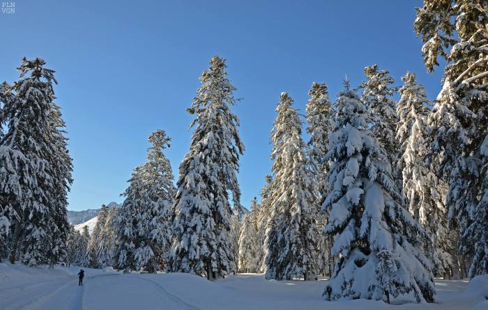 883261_437611003027527_752663464_o