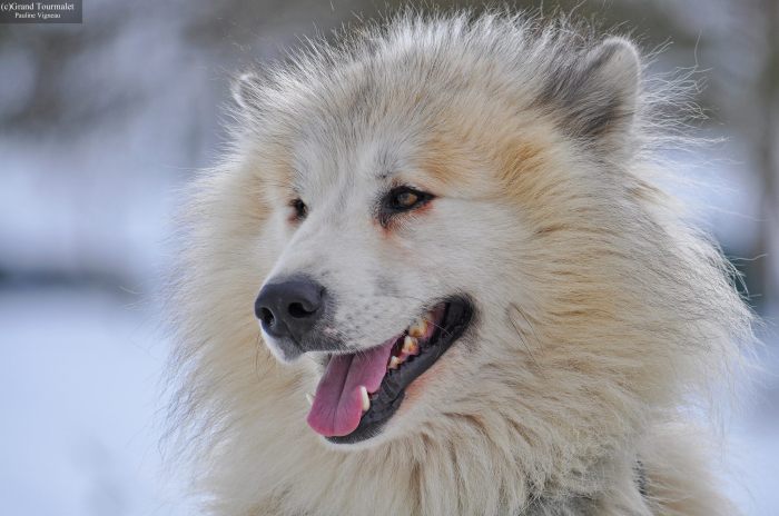 901409_429480777173883_761450028_o