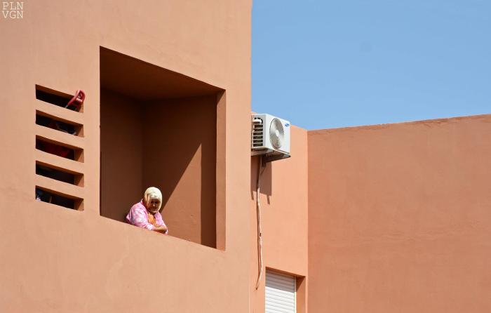 905844_10204145393215329_2254930114785844835_o