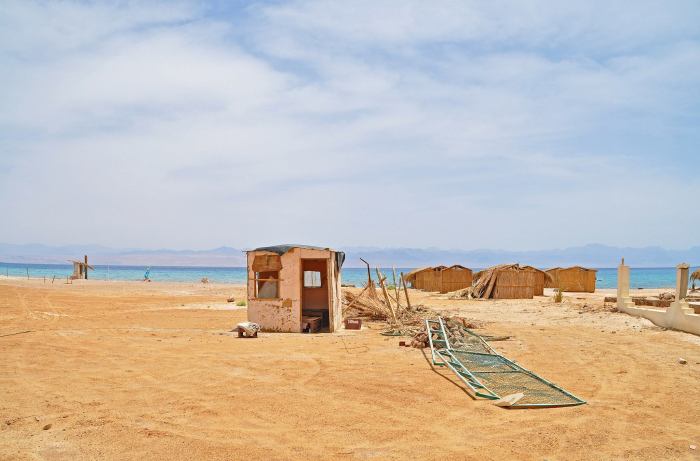 920070_10201184726800519_1241243597_o