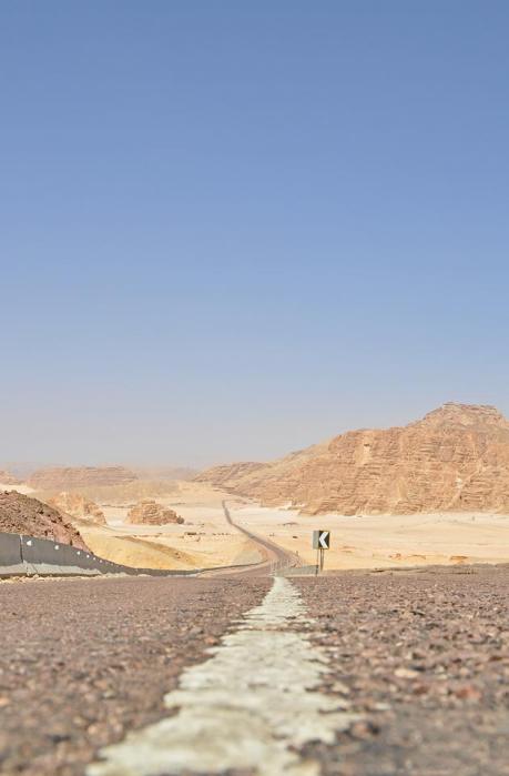 923130_10201184228268056_340743436_n