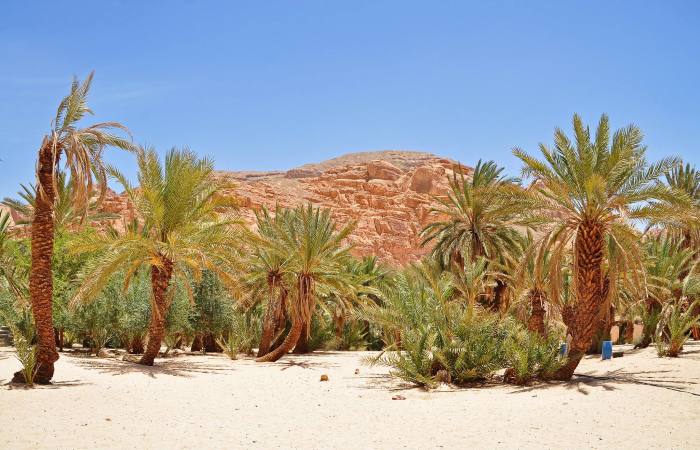 963879_10201184242068401_314080295_o