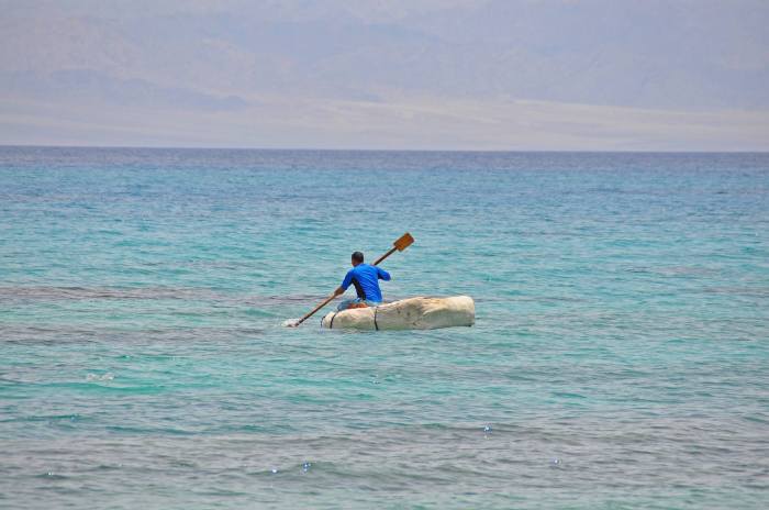 964124_10201184728240555_1249060957_o