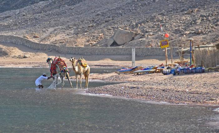 964180_10201184188707067_554245841_o