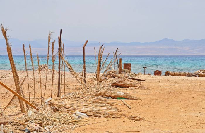 964391_10201184726000499_1037037211_o