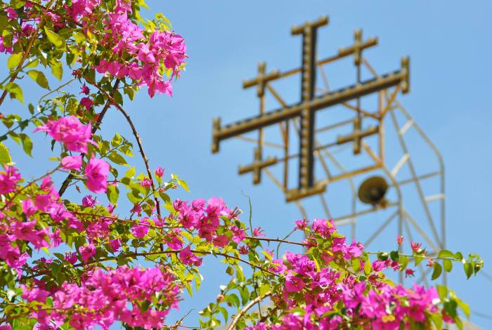 964835_10201256563196384_703645746_o