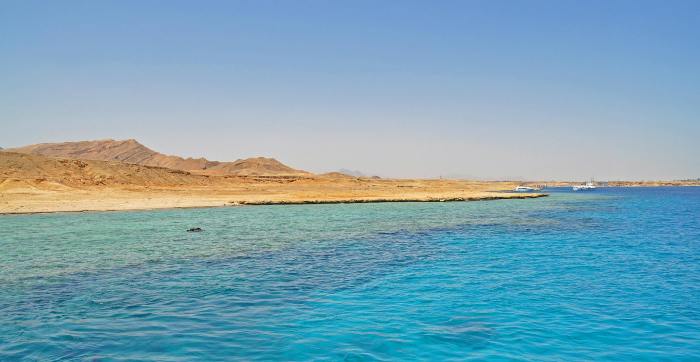 965538_10201184762681416_249818708_o