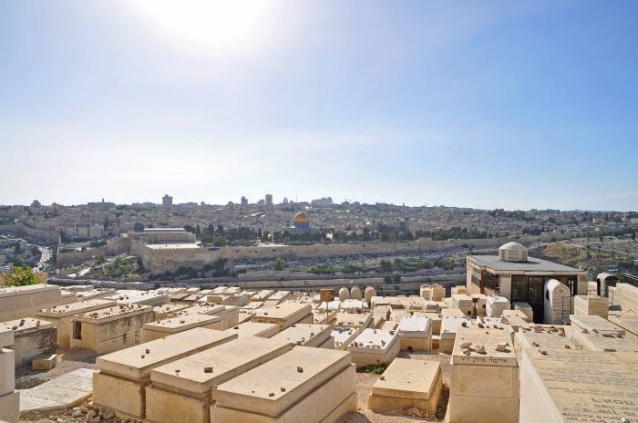 967097_10201225962391383_1948099001_o